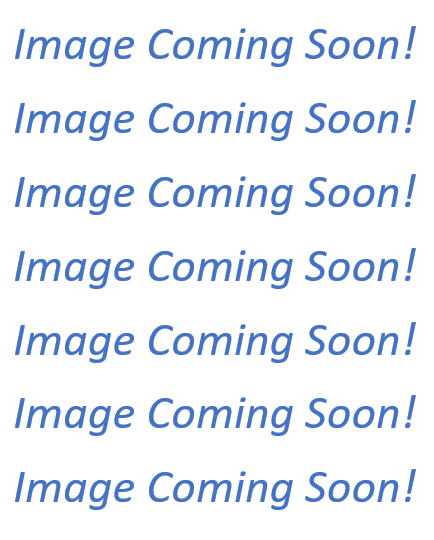 ImageComingSoon1.PNG